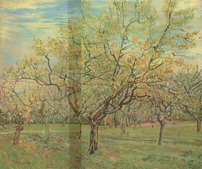 Vincent Van Gogh The White Orchard (nn04) china oil painting image